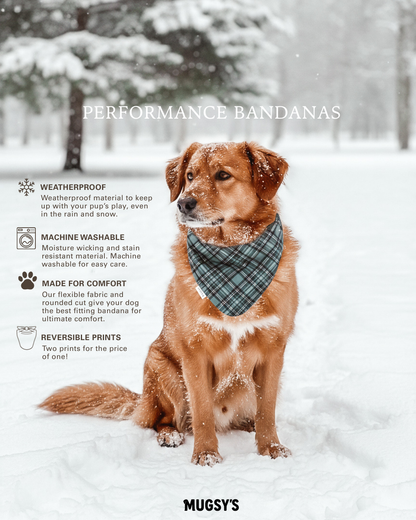 Tartan & Pine - Performance Dog Bandana