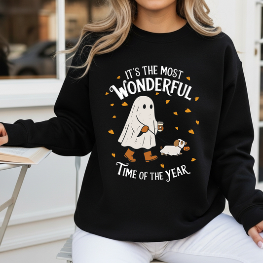 Most Wonderful Time Sweatshirt