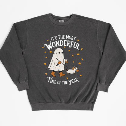 Most Wonderful Time Sweatshirt