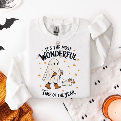 Most Wonderful Time Sweatshirt
