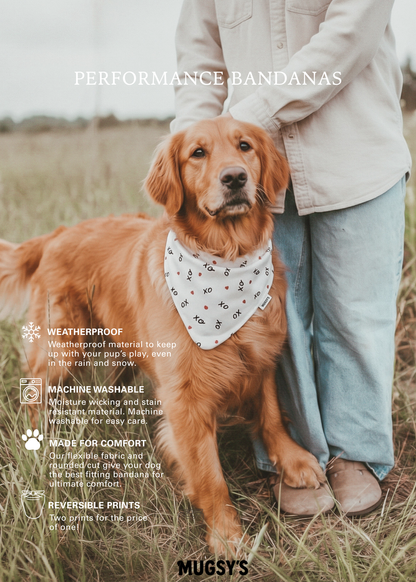 Forest Love - Performance Dog Bandana